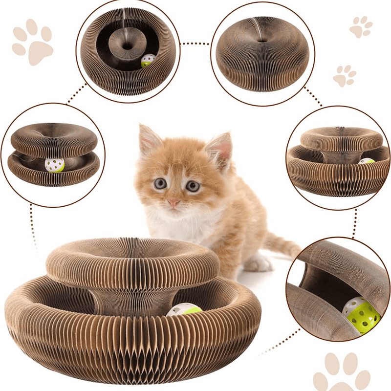 Brinquedo Interativo Para Gatos I Cat Joy + 1 Bola de Brinde - Shopibr 