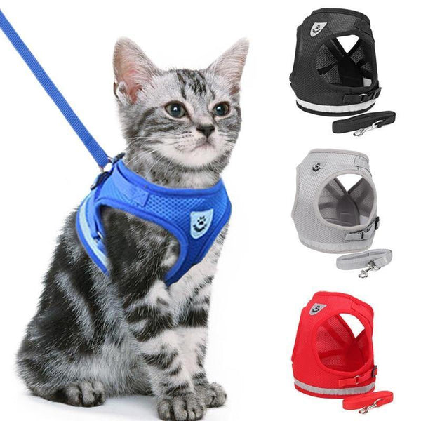 Coleira Peitoral para Gatos - Shopibr 