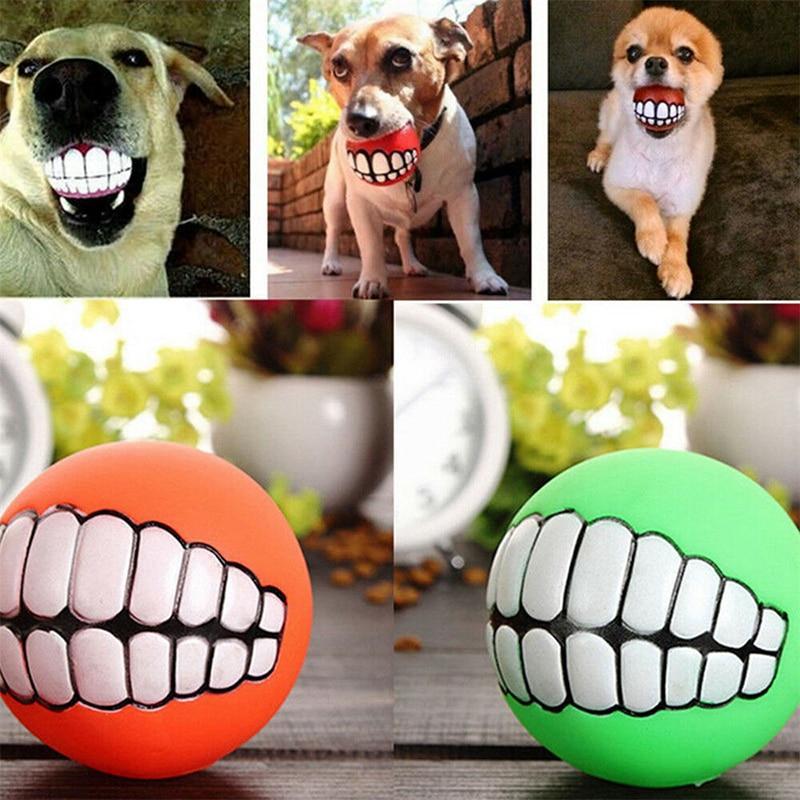 Bola Dentes De Cão - Shopibr 