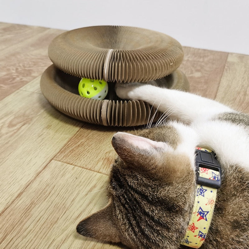 Brinquedo Interativo Para Gatos I Cat Joy + 1 Bola de Brinde - Shopibr 