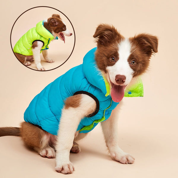 Colete Pet Alby™ Dupla-Face 3 Camadas | Roupa Para Cachorro - Shopibr 